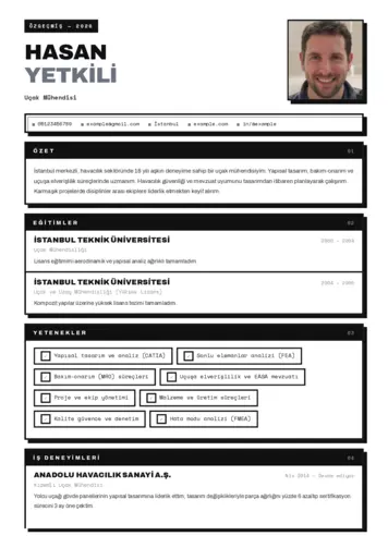 Havacılık Ve Uzay Uçak Mühendisi Cv Örnekleri cv indir